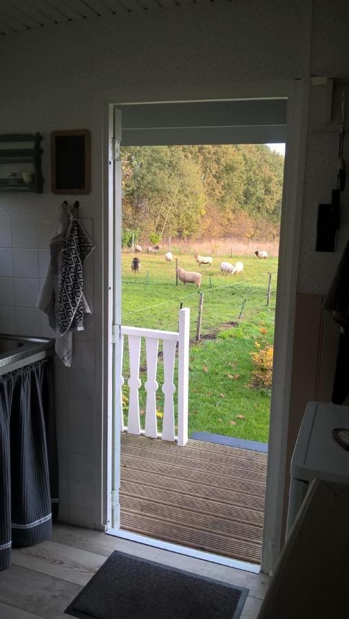 Pipowagen Elsebein Groningen Westerwolde Unieke Ligging Met Eigen Tuin En Vrij Uitzicht Over Veld Naar Natuurgebied Онстведде Екстер'єр фото