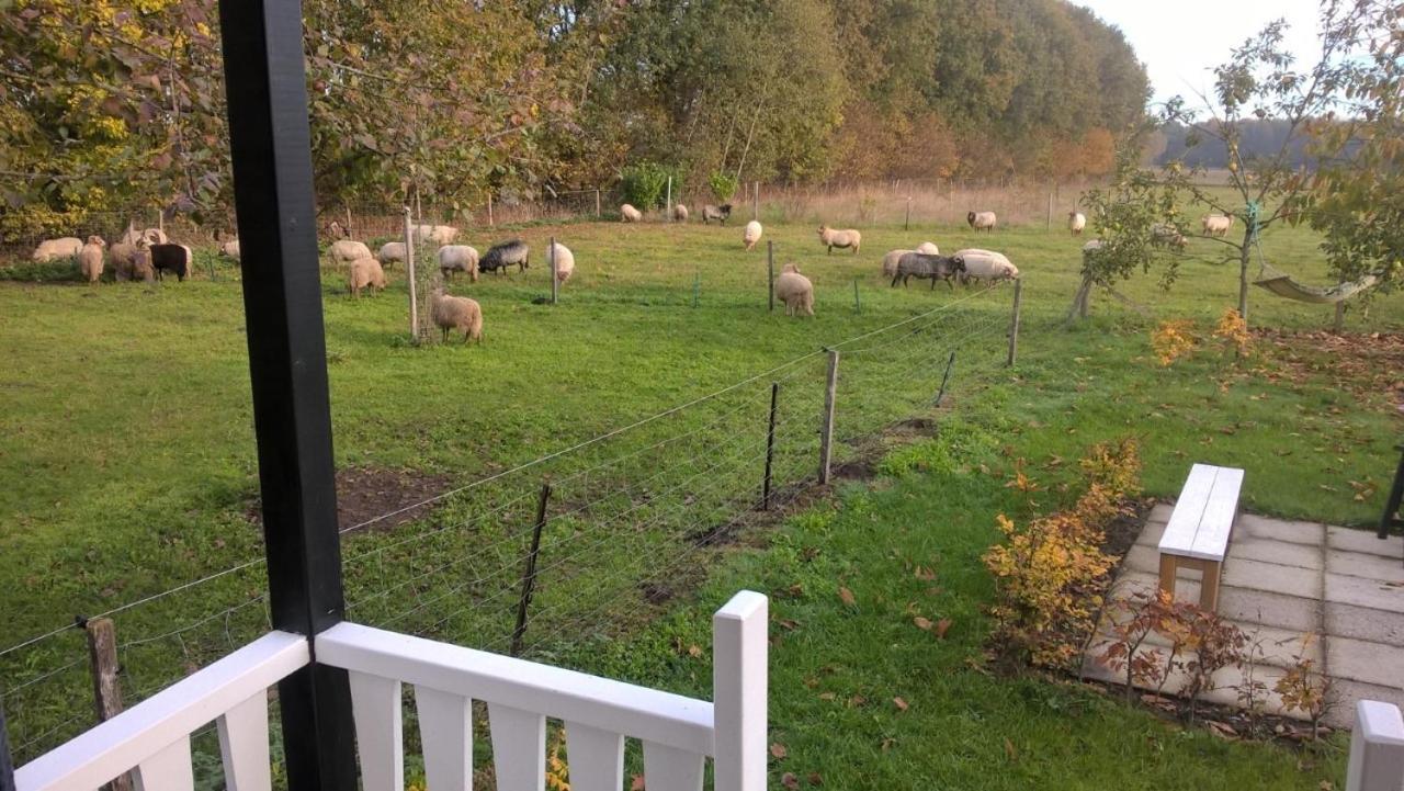 Pipowagen Elsebein Groningen Westerwolde Unieke Ligging Met Eigen Tuin En Vrij Uitzicht Over Veld Naar Natuurgebied Онстведде Екстер'єр фото
